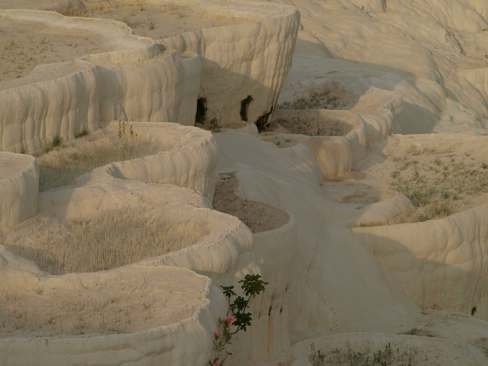 Cataratas de algodon