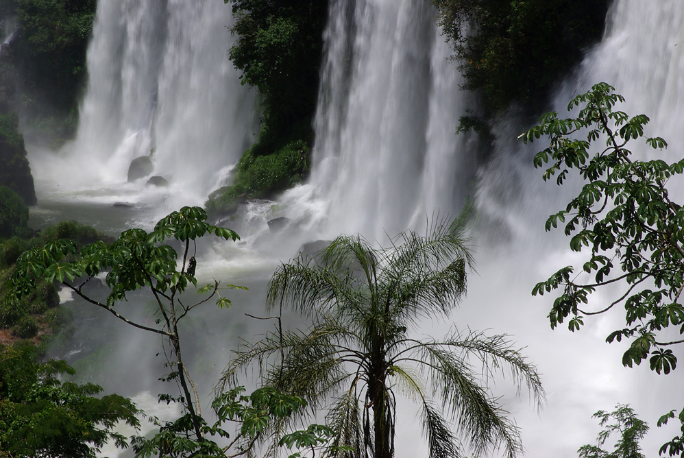 Cataratas de Iguazú #3