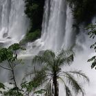 Cataratas de Iguazú #3
