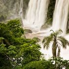 "Cataratas del Iguazú 2" (argentinische Impressionen)