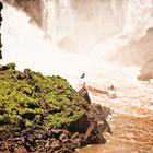 Cataratas del Iguazú 3 (argentinische Impressionen)