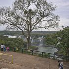 CATARATAS DEL IGUAZU