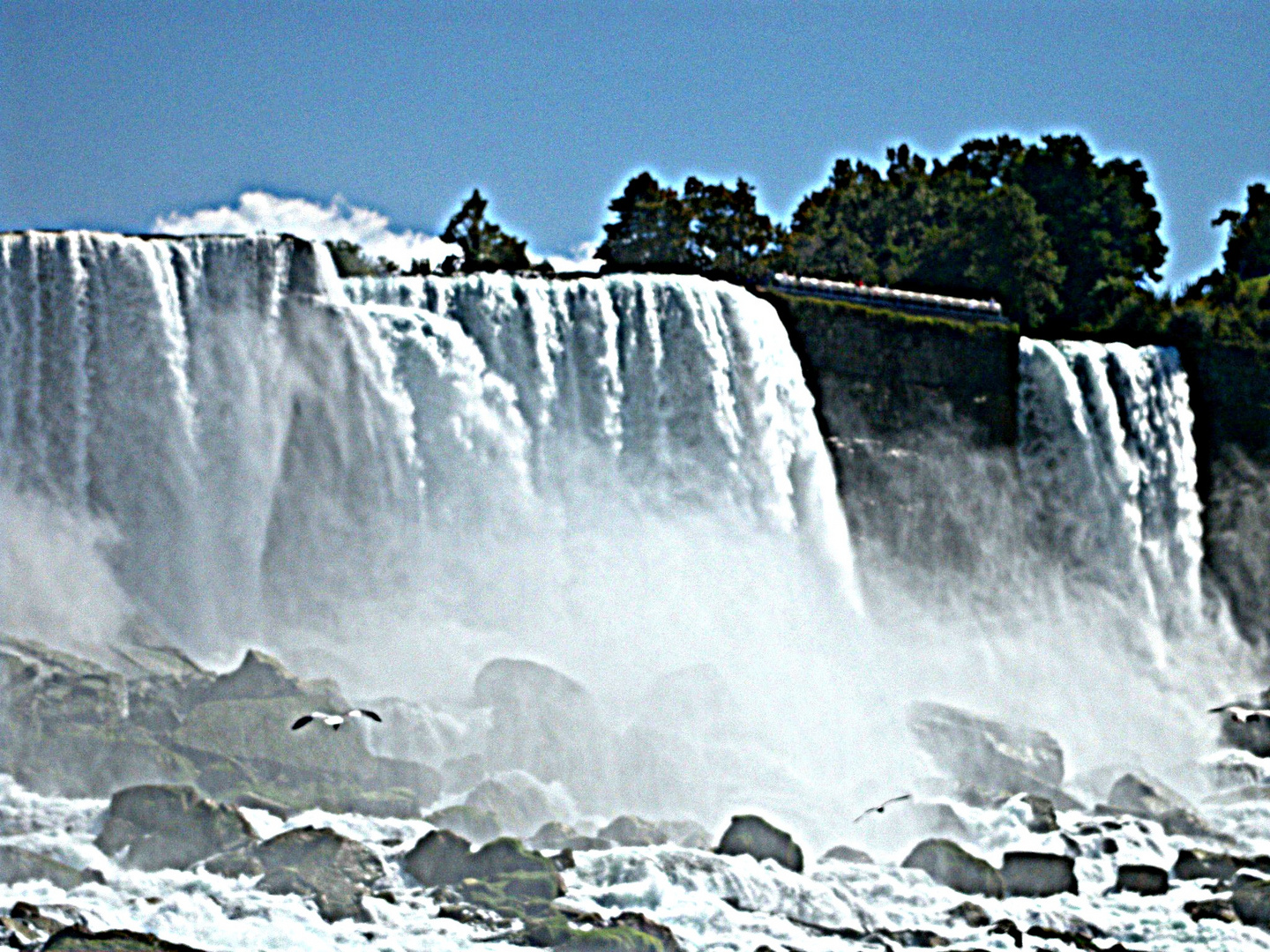 Cataratas del Niagara 7