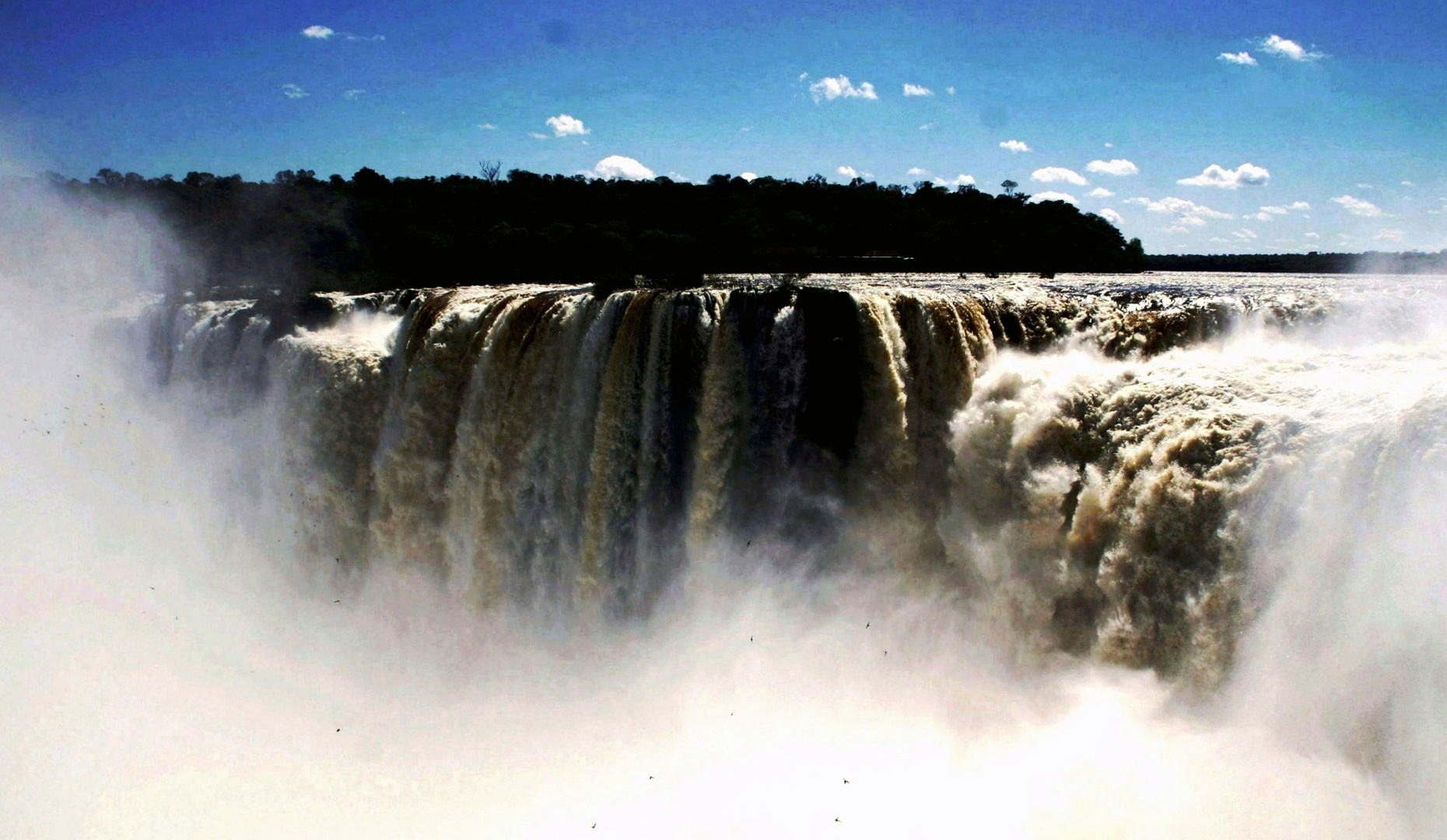 Cataratas Iguazú con los vencejos volando