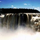 Cataratas Iguazú con los vencejos volando