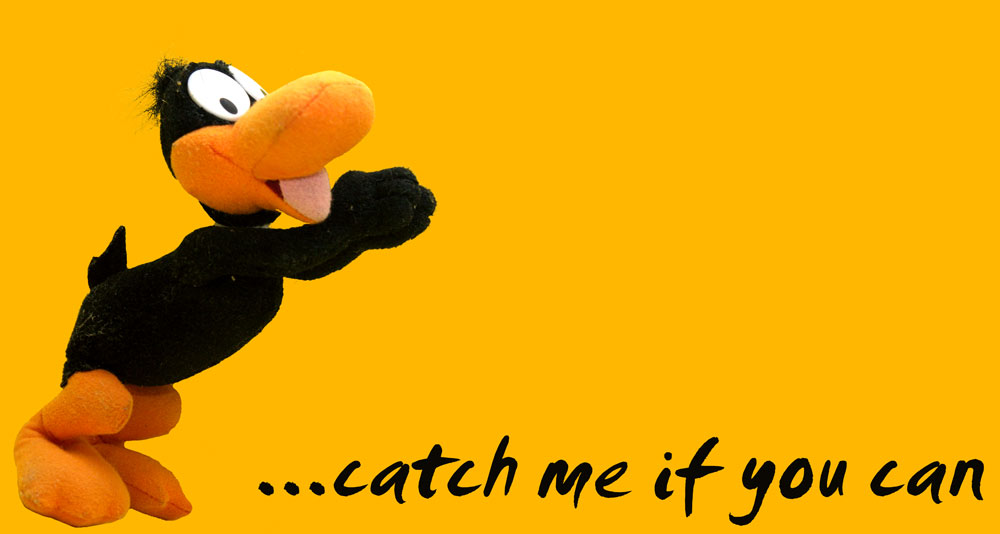 [catch me...]