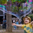 Catch the Bubble