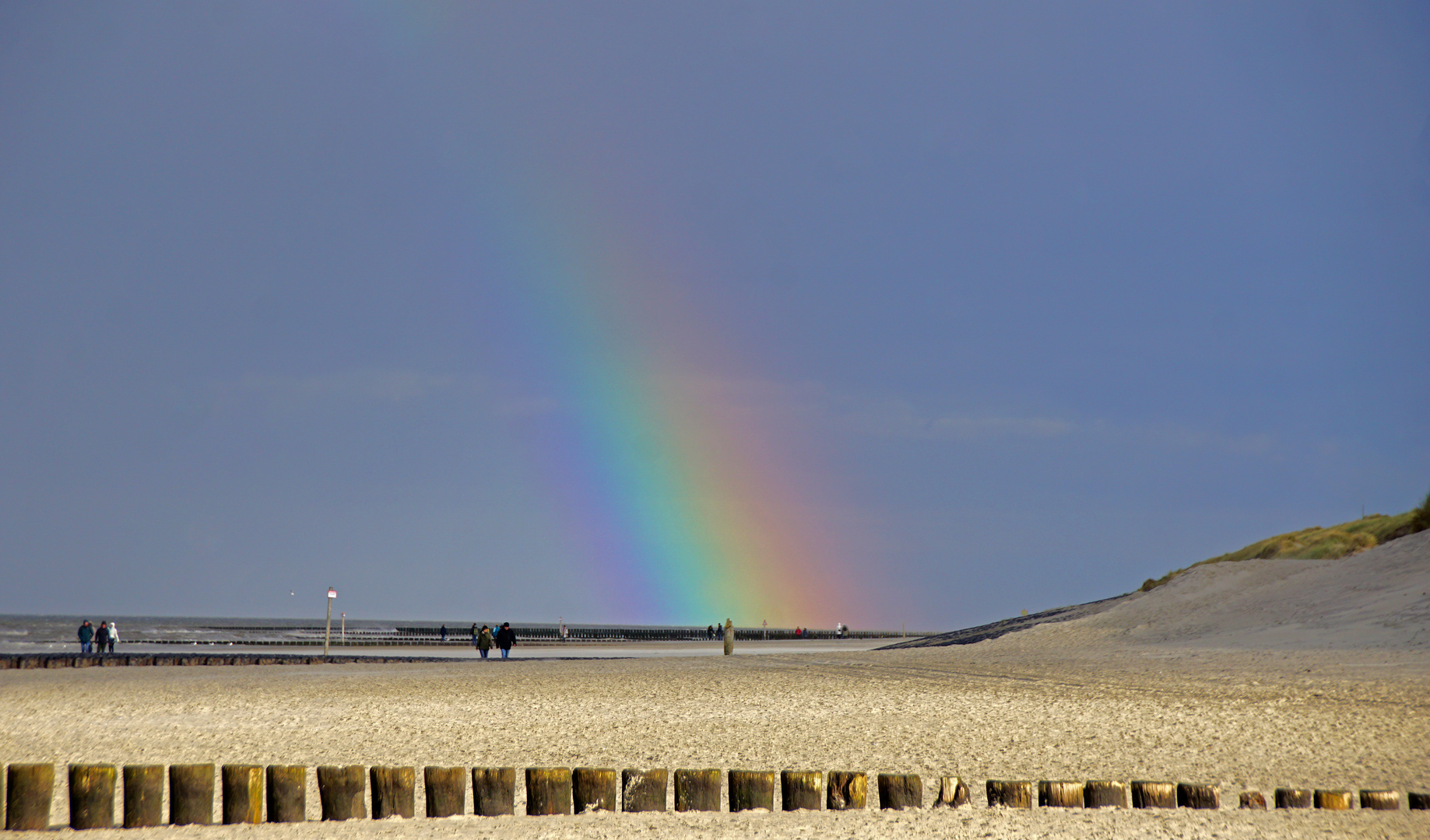 Catch the Rainbow