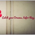 catch your dreams,before they slip away