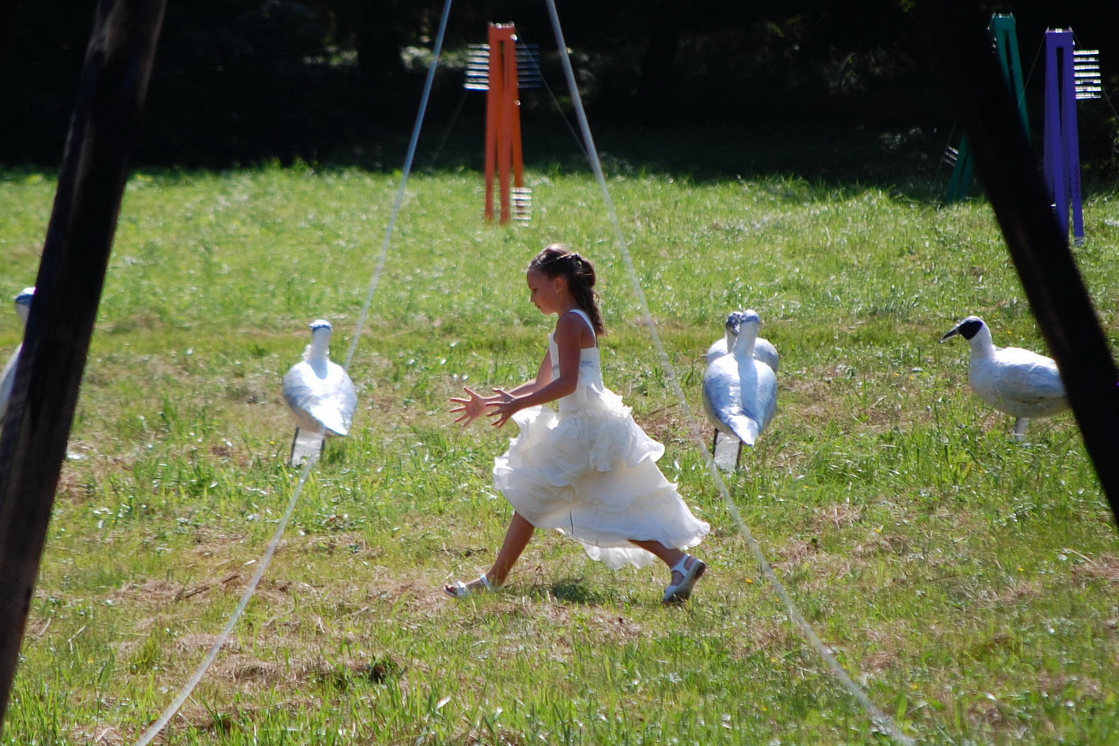 catching butterflies