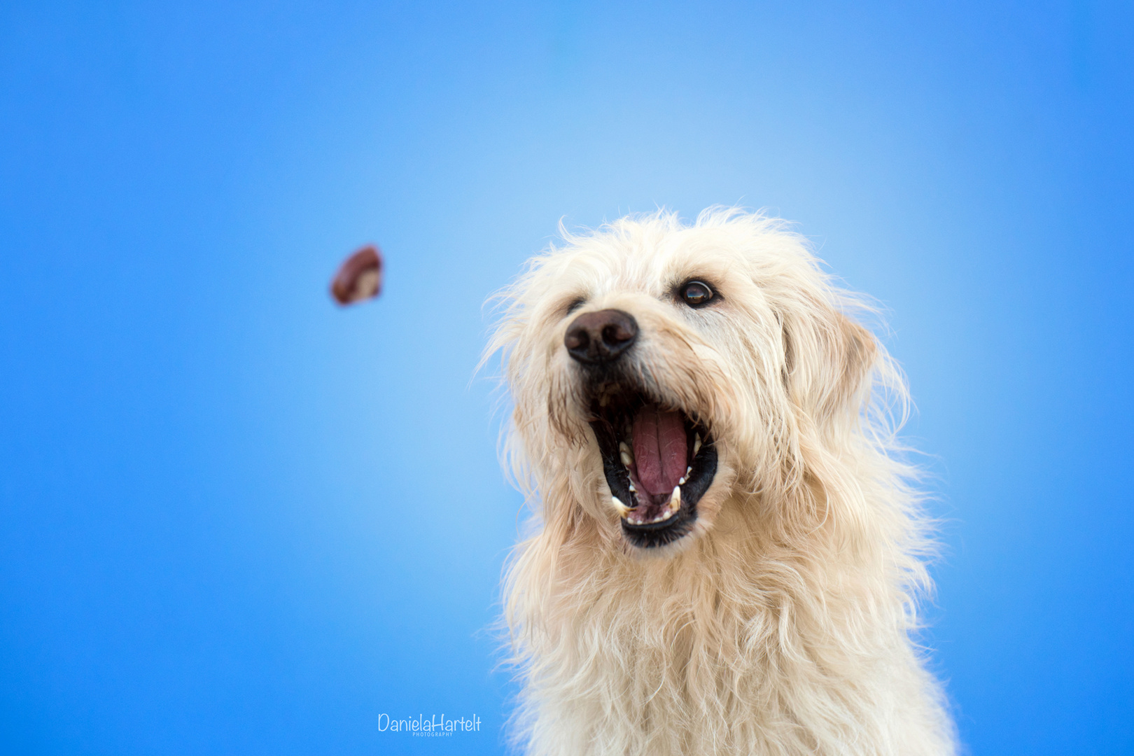 Catching cookies