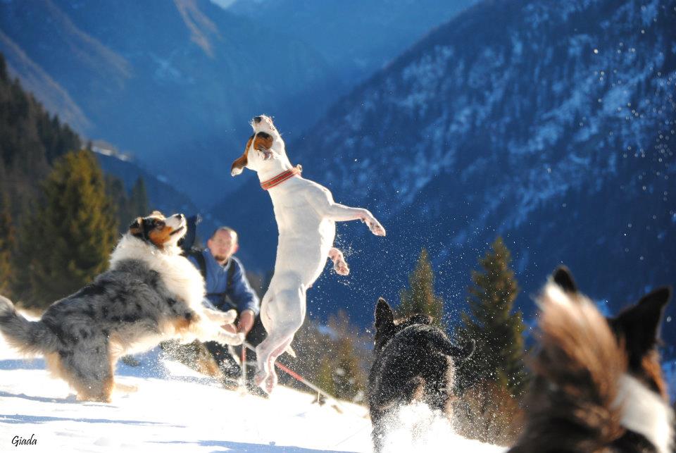 catching snowballs...