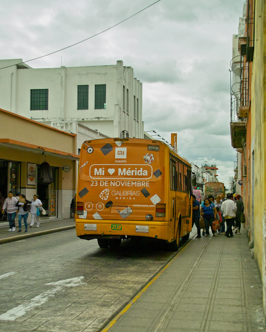 Catching the bus...