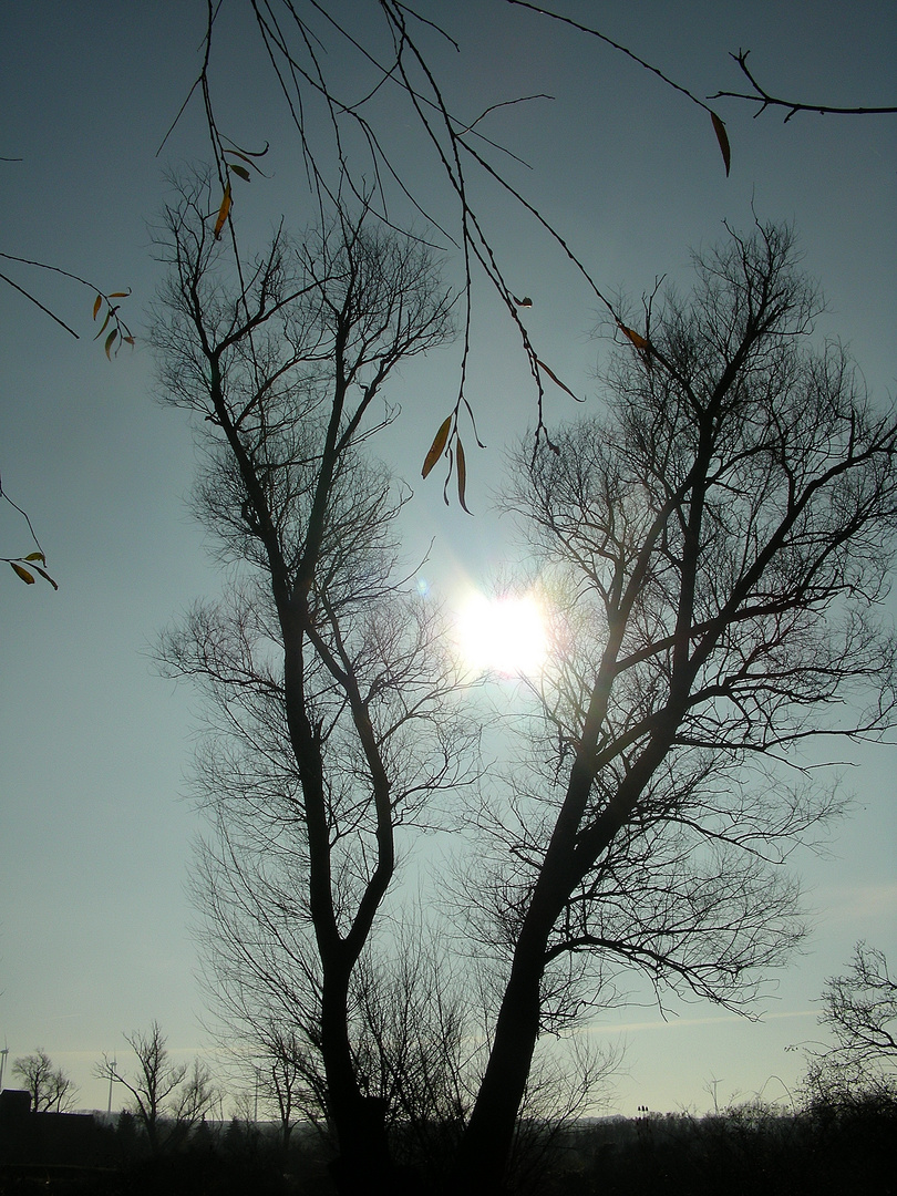 Catching the sun