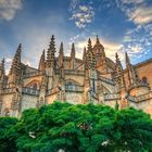 Catedral al atardecer