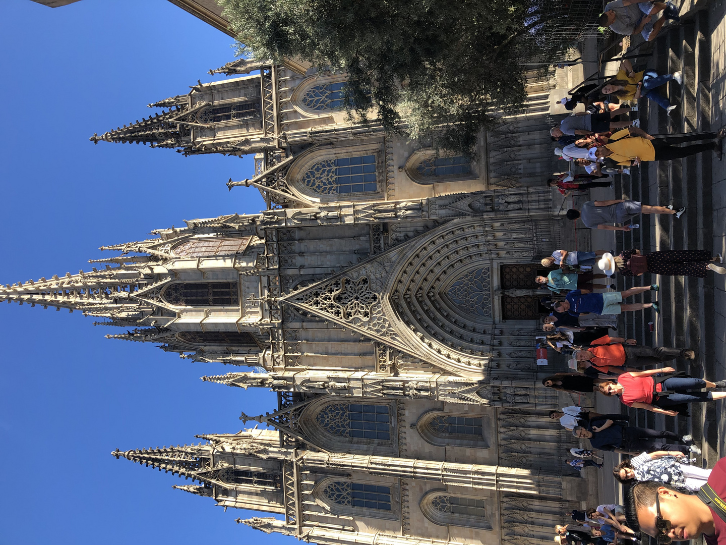 Catedral Barcelona 