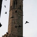 Catedral, Barcelona