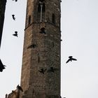 Catedral, Barcelona