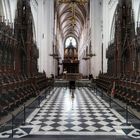 Catedral de Amberes (Antwerp) Belgica