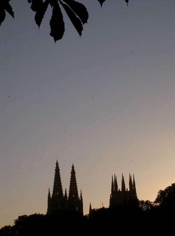 CATEDRAL DE BURGOS