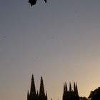 CATEDRAL DE BURGOS