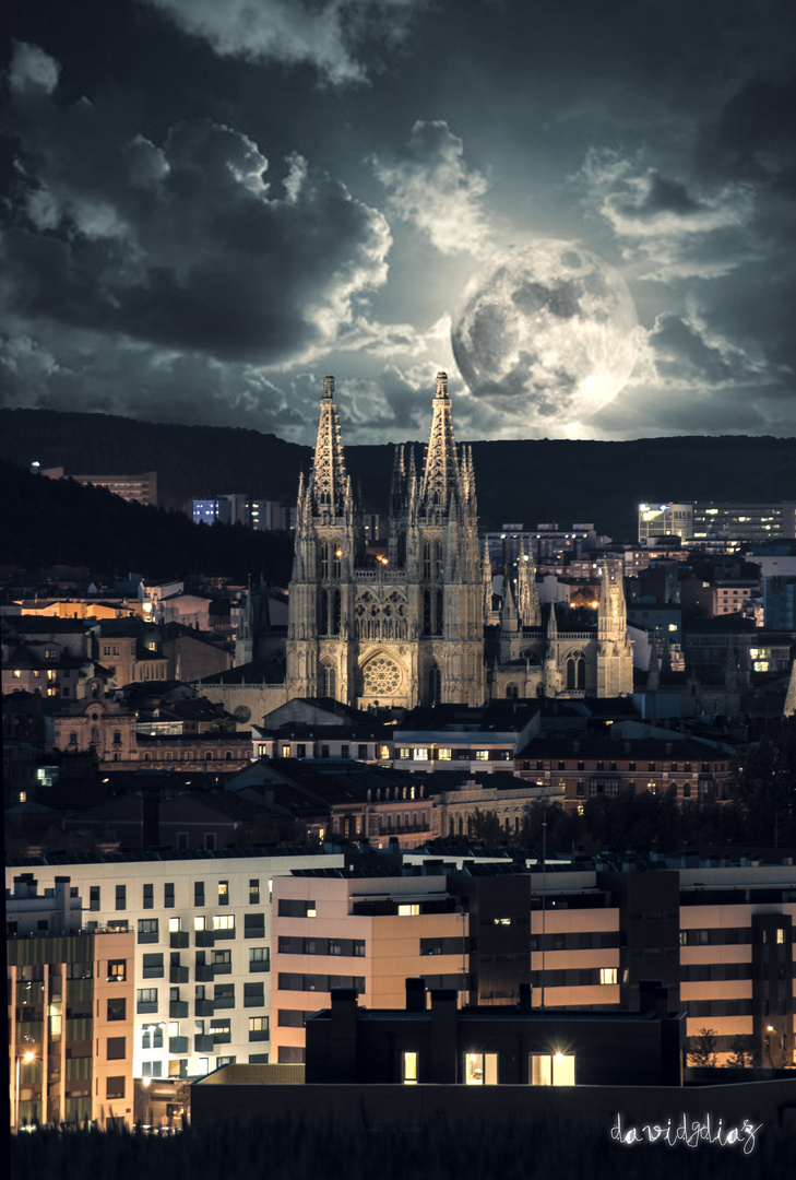 CATEDRAL DE BURGOS