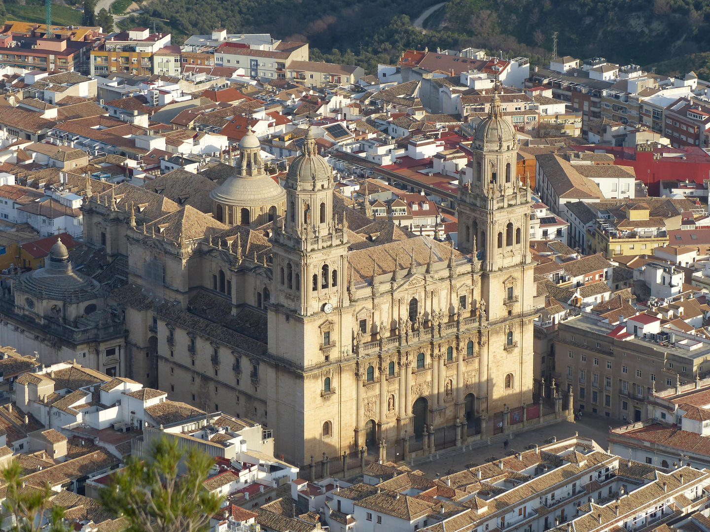 catedral de jaen ............................