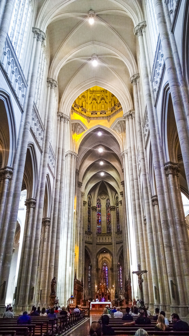 CATEDRAL DE LA CIUDAD DE LA PLATA 