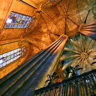 Catedral de la Santa Creu i Santa Eulalia III, Barrio Gótico, Barcelona / E