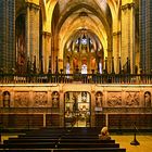 Catedral de la Santa Creu i Santa Eulalia IV, Barrio Gótico, Barcelona / E