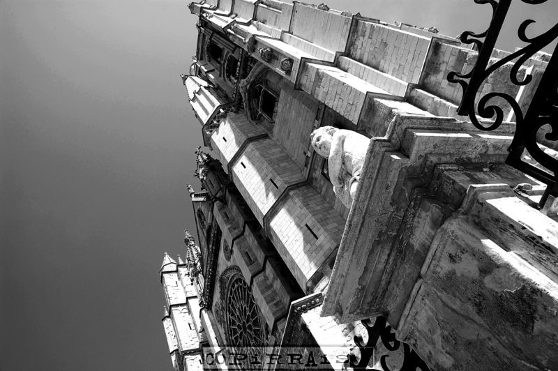 CATEDRAL DE LEÓN (Perspectiva)