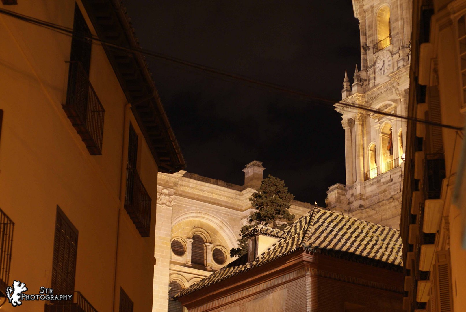 Catedral de Málaga