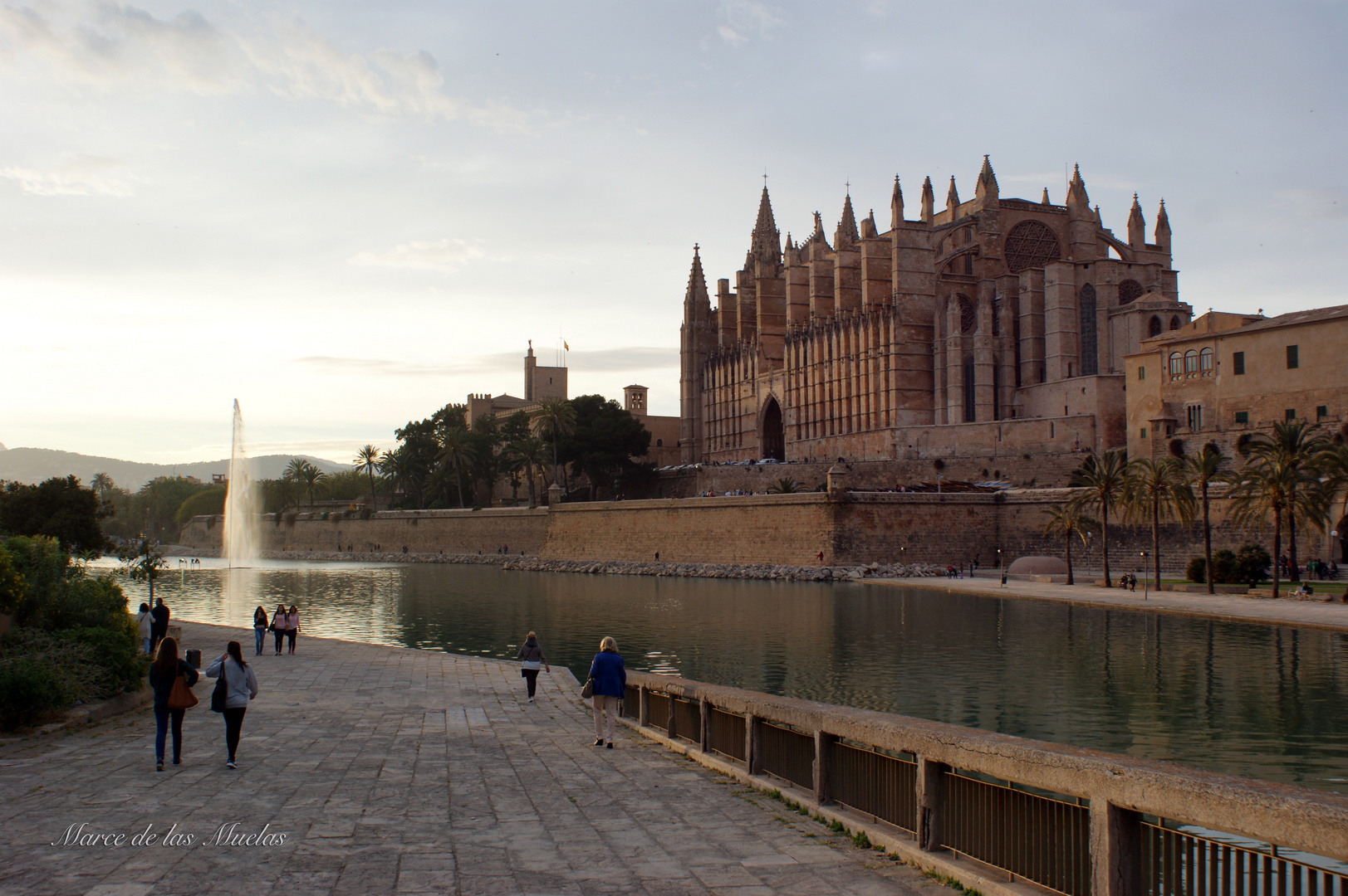 ...Catedral de Mallorca 2....