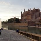 ...Catedral de Mallorca 2....