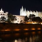 ...Catedral de Mallorca 3....