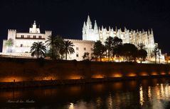 ...Catedral de Mallorca 3....
