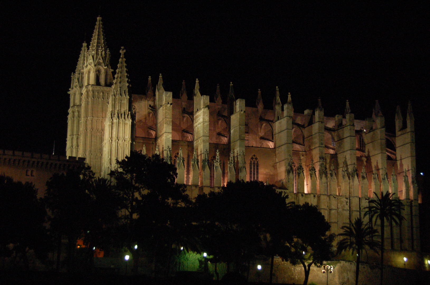 catedral de Mallorca