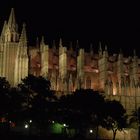 catedral de Mallorca