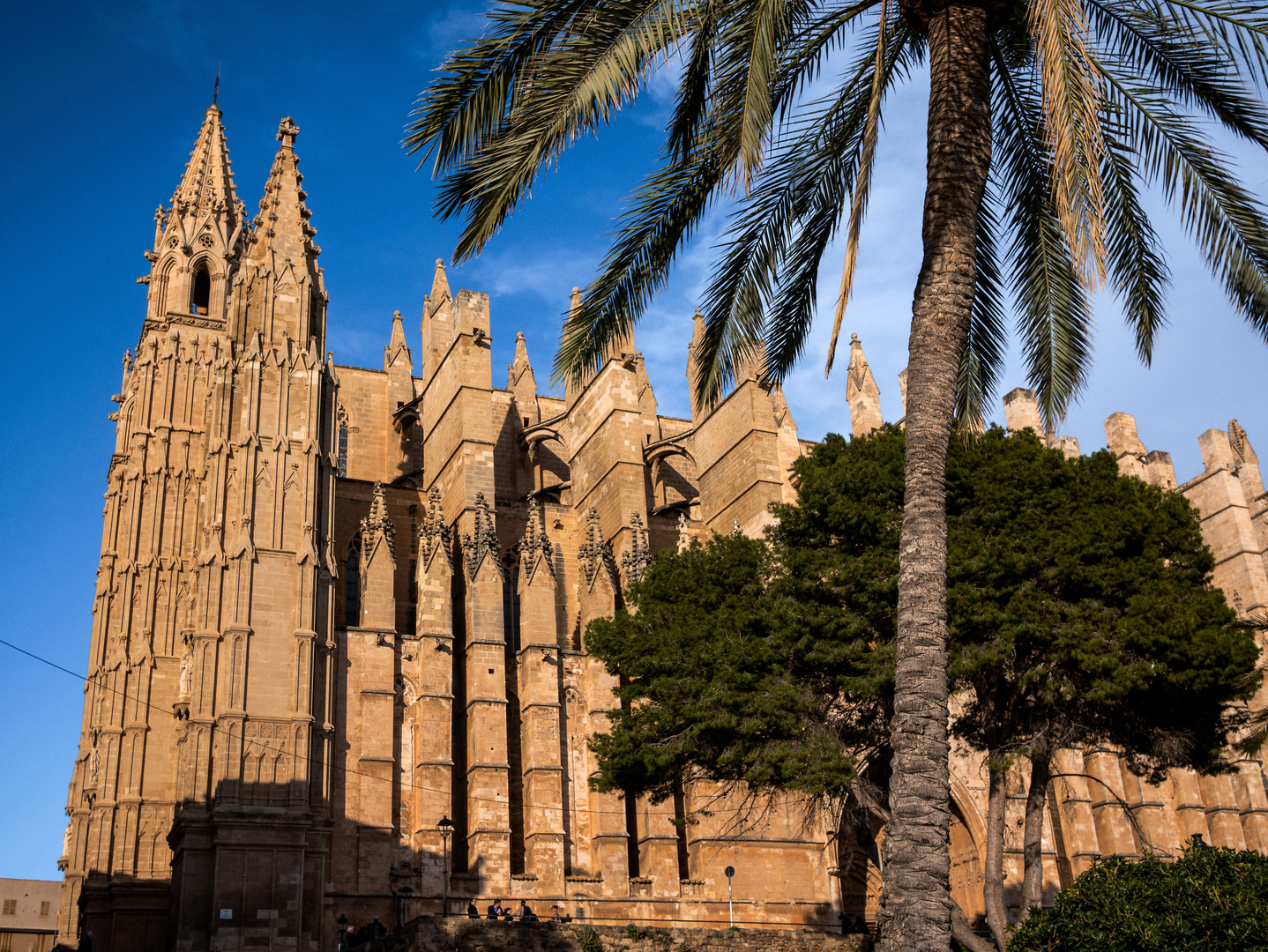 Catedral de Mallorca, 4