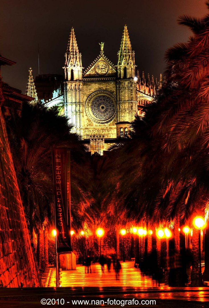 CATEDRAL DE MALLORCA