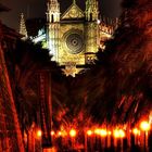 CATEDRAL DE MALLORCA