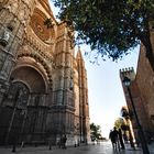 Catedral de Mallorca