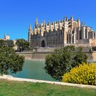 Catedral de Mallorca