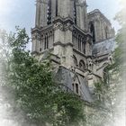 Catedral de Notre Dame