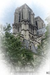 Catedral de Notre Dame