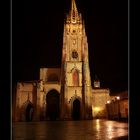 CATEDRAL DE OVIEDO.( Proyecto Nocturnas)