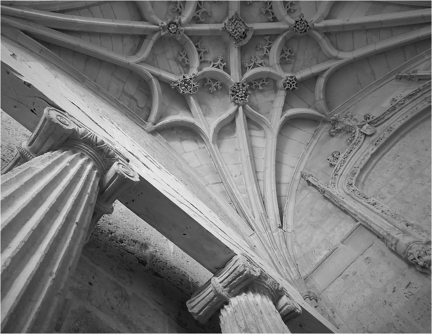 Catedral de Palencia, España / Palencia Domm, Spain