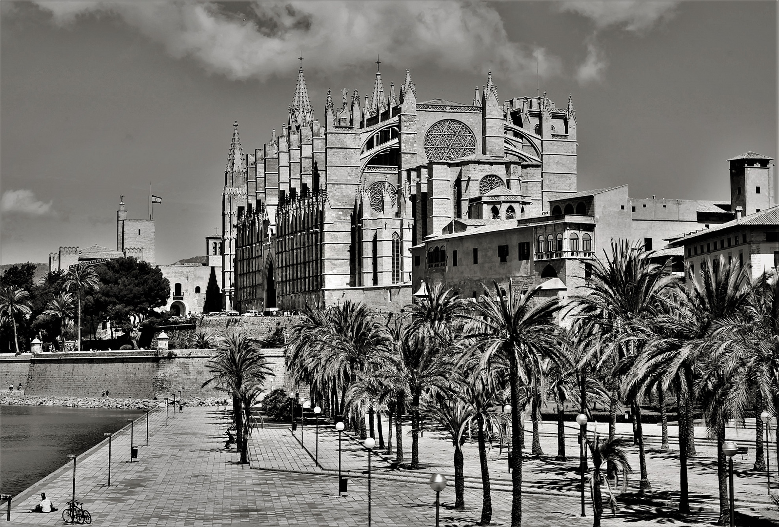 Catedral de Palma