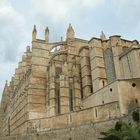 Catedral de Palma .