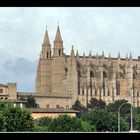 catedral de palma